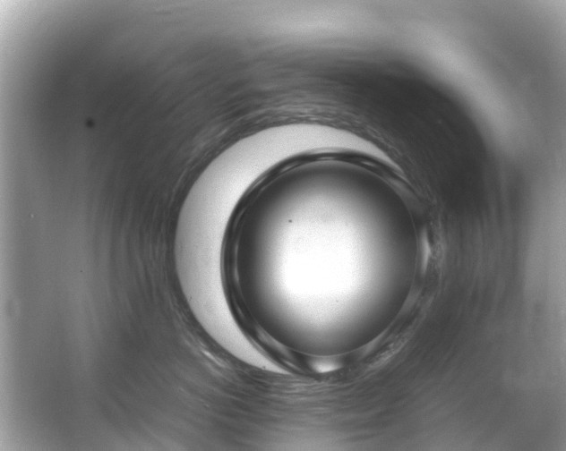 X0000066100766200603131230