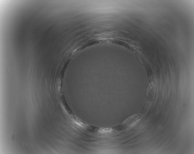 X0000066100767200603131230