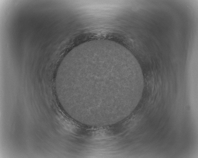 X0000066100769200603131229