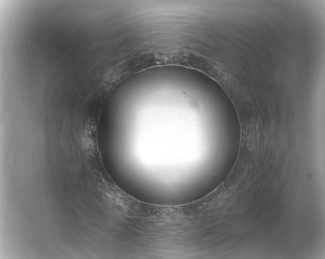 X0000066100770200603131229