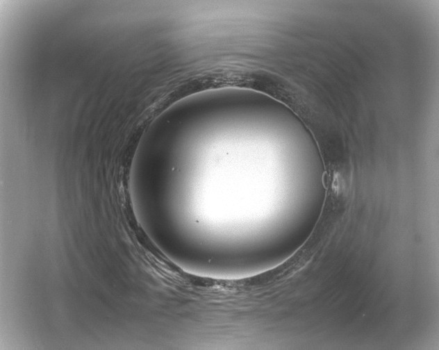 X0000066100771200603131229