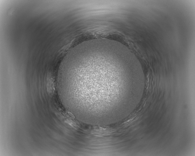 X0000066100772200603131229