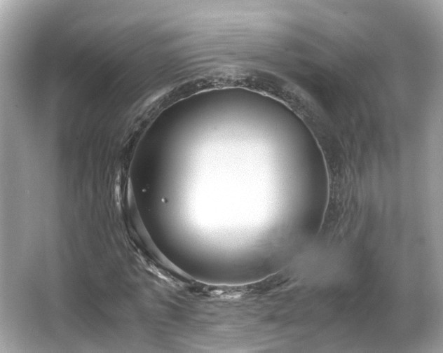 X0000066100773200603131229