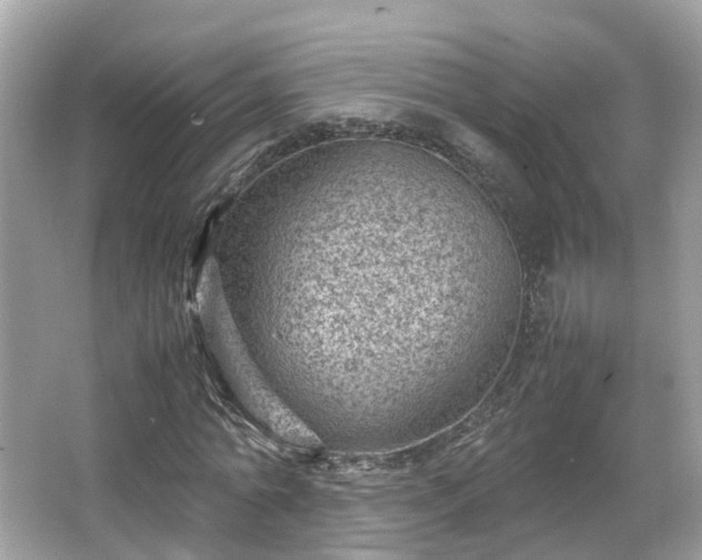 X0000066100774200603131229