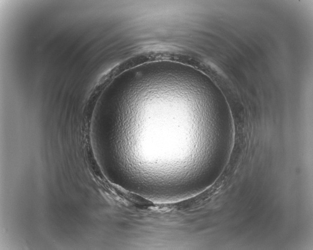 X0000066100775200603131229