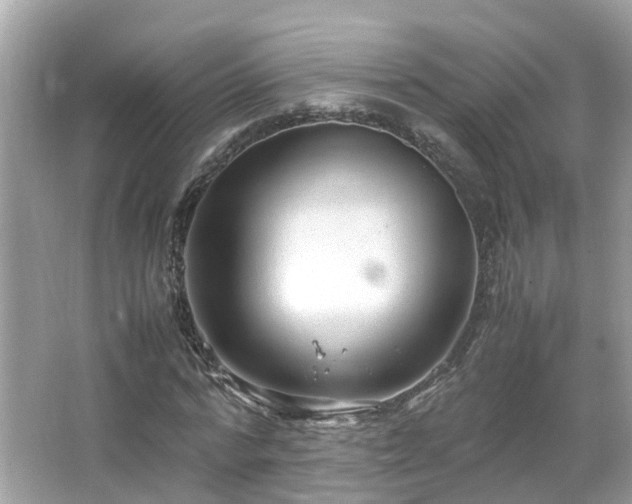 X0000066100776200603131229