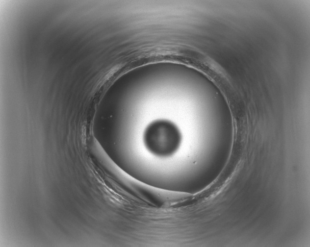 X0000066100777200603131229