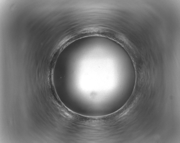 X0000066100778200603131229