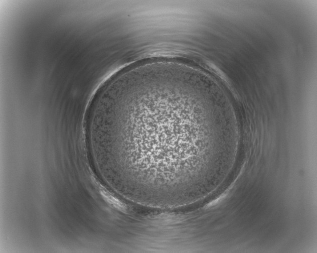 X0000066100779200603131229