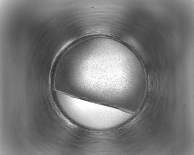 X0000066100780200603131229