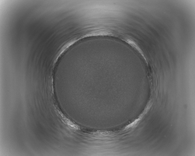 X0000066100781200603131229