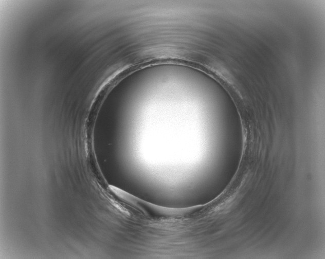 X0000066100782200603131229