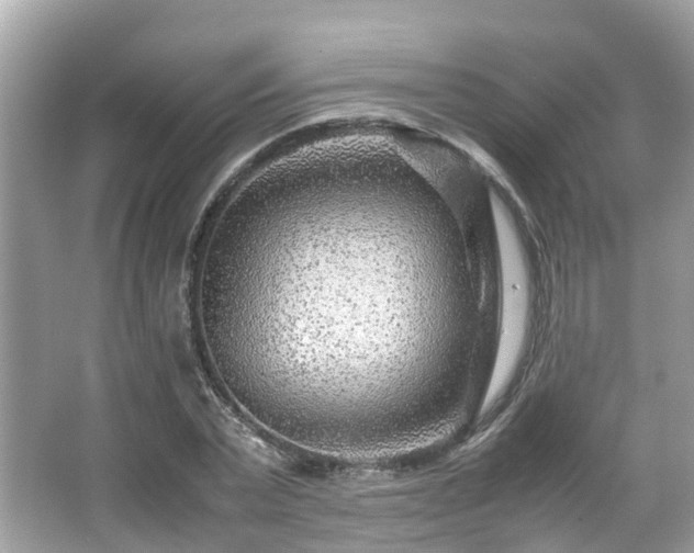 X0000066100783200603131229