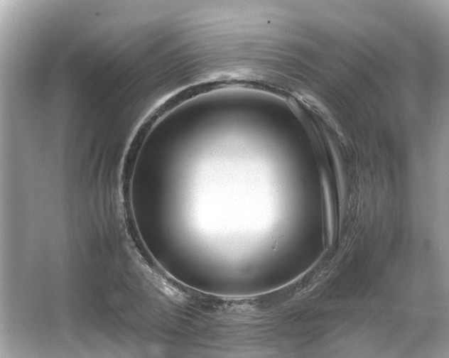 X0000066100784200603131229