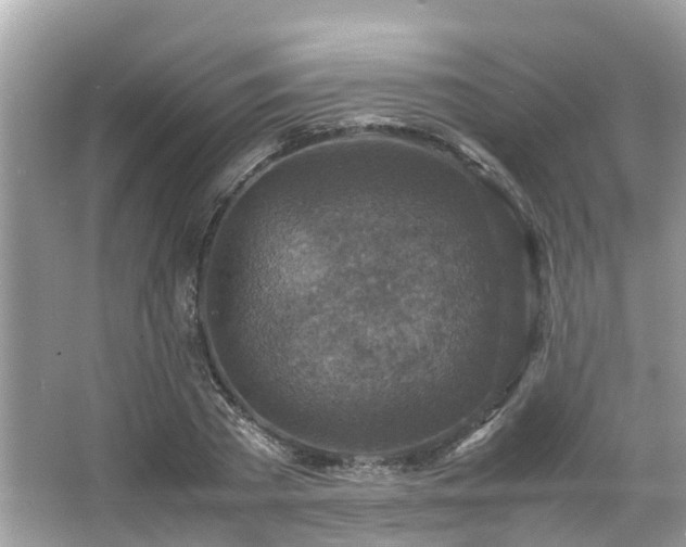 X0000066100785200603131229