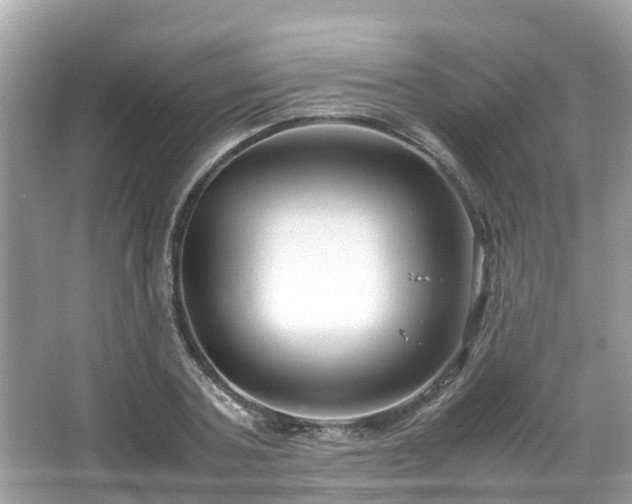 X0000066100787200603131229