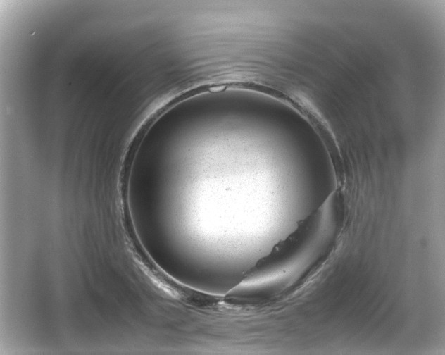 X0000066100789200603131229