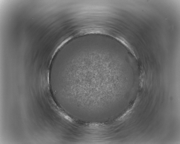 X0000066100790200603131228