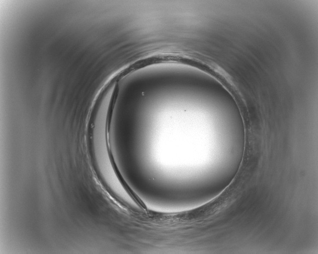 X0000066100791200603131228