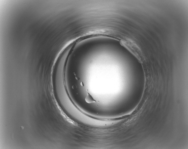 X0000066100792200603131228