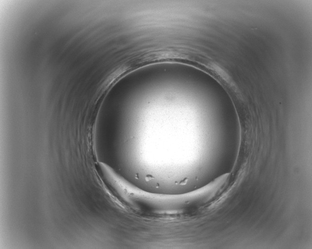 X0000066100793200603131228