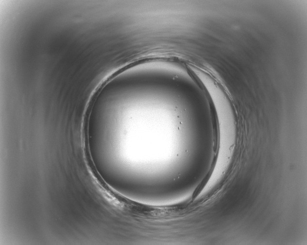 X0000066100795200603131228