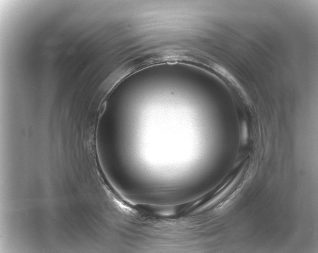 X0000066100801200603131228