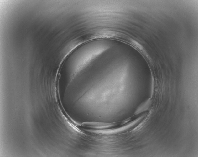 X0000066100802200603131228