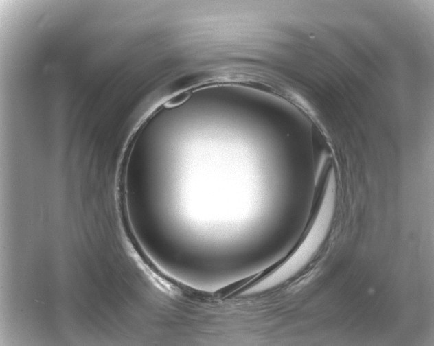 X0000066100803200603131228