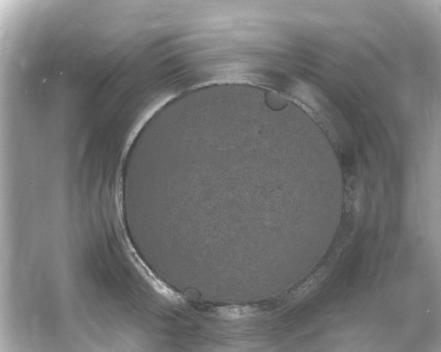 X0000066100804200603131228