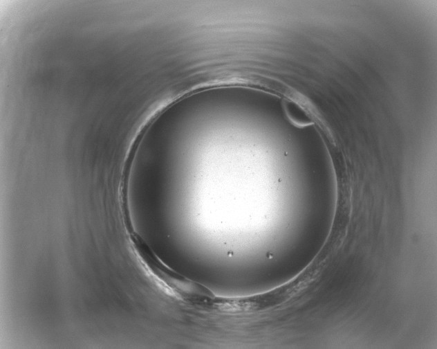 X0000066100805200603131228