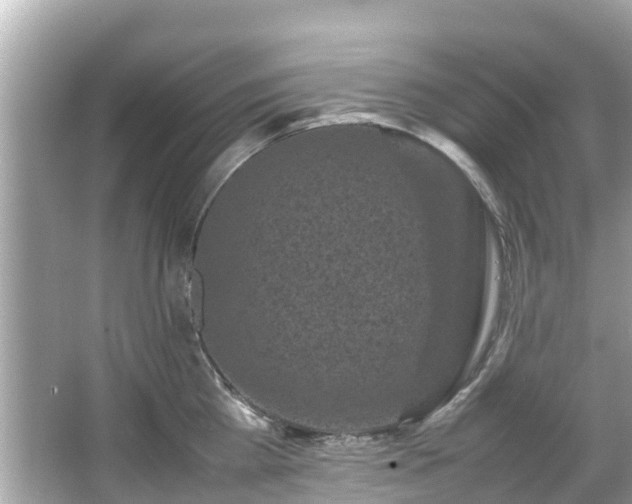 X0000066100809200603131228