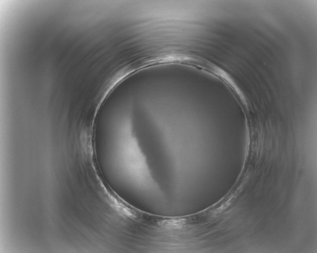 X0000066100810200603131228