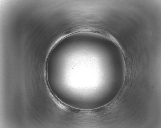 X0000066100811200603131228