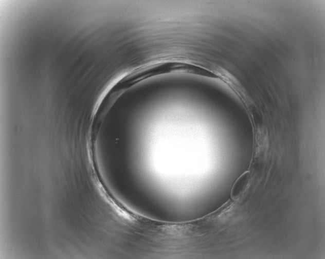 X0000066100812200603131228