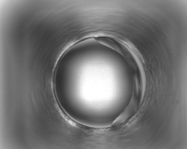 X0000066100813200603131228