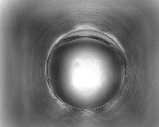 X0000066100815200603131228