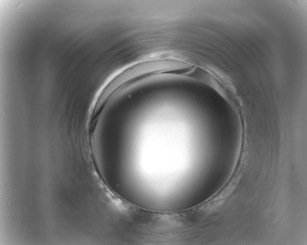 X0000066100816200603131228