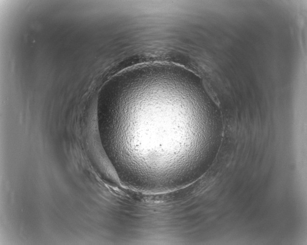 X0000066100817200603131227