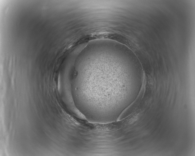 X0000066100818200603131227