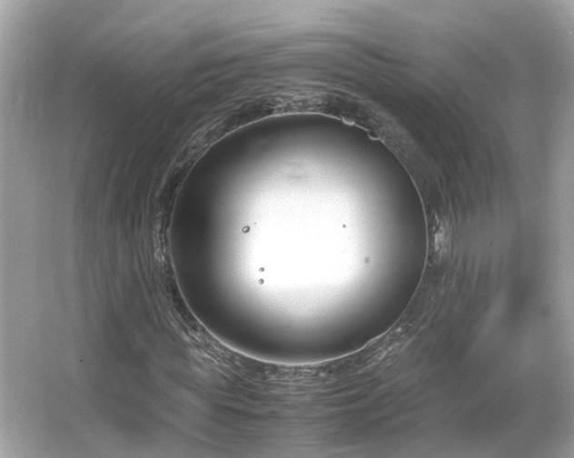 X0000066100819200603131227