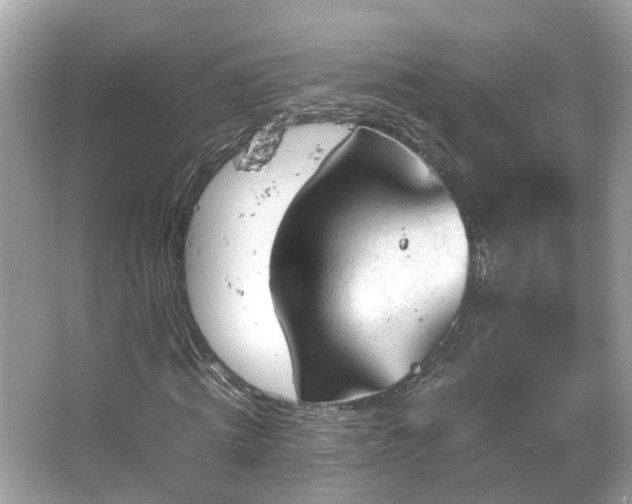 X0000066100820200603131227