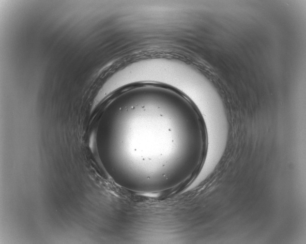 X0000066100822200603131227