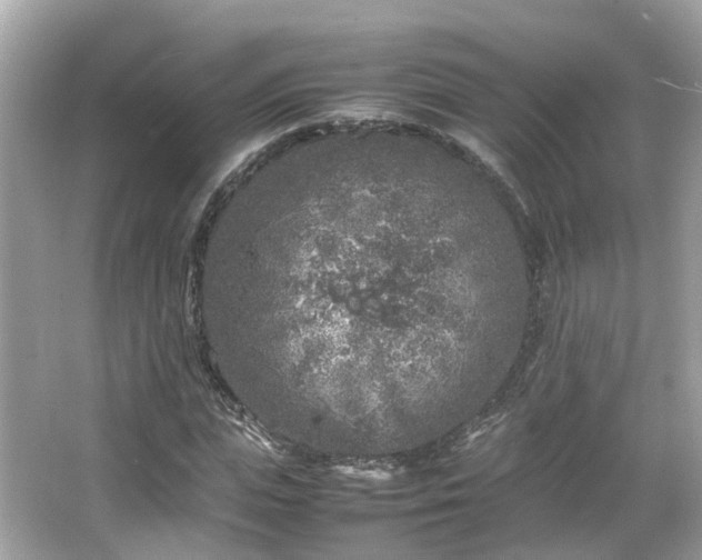 X0000066100823200603131227