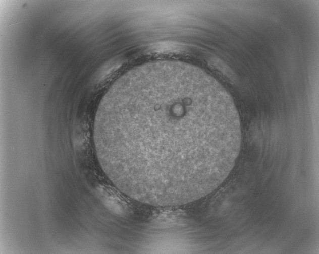 X0000066100824200603131227