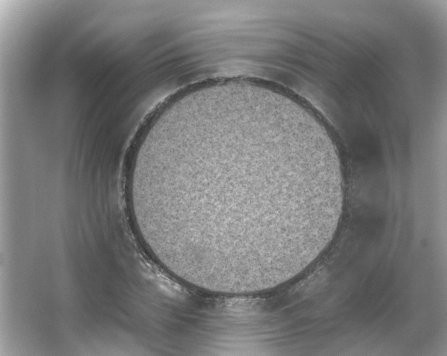 X0000066100832200603131227