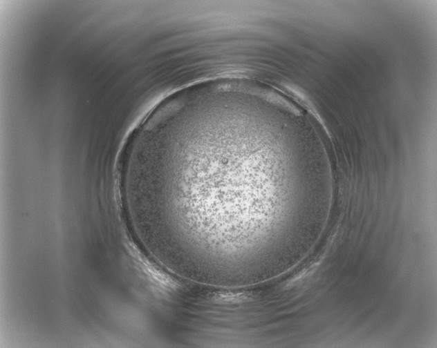 X0000066100835200603131228