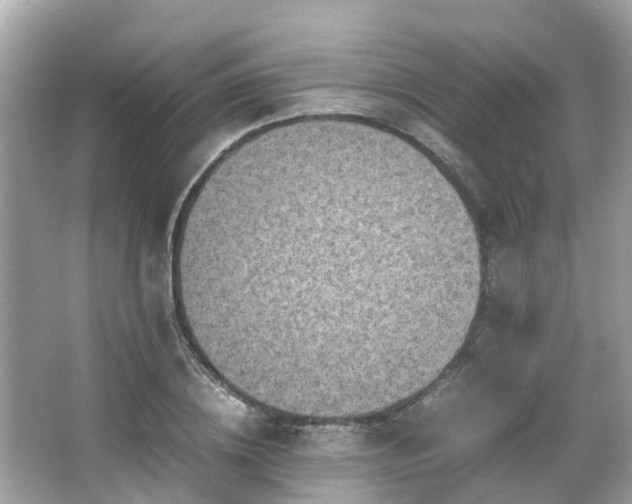 X0000066100836200603131228