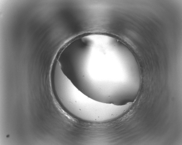 X0000066100840200603131228