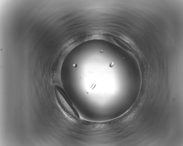 X0000066100841200603131228